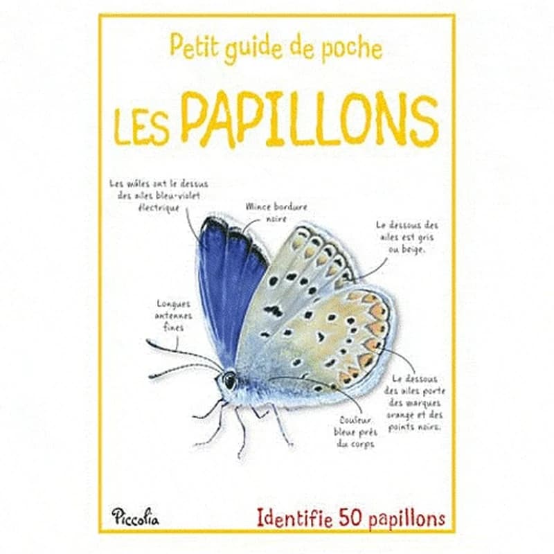 Les papillons