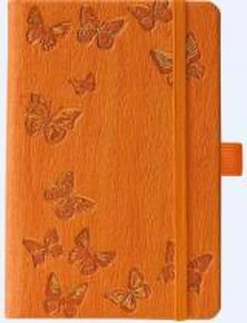 Carnet ligné avec pochette à soufflet intégrée - Papillons