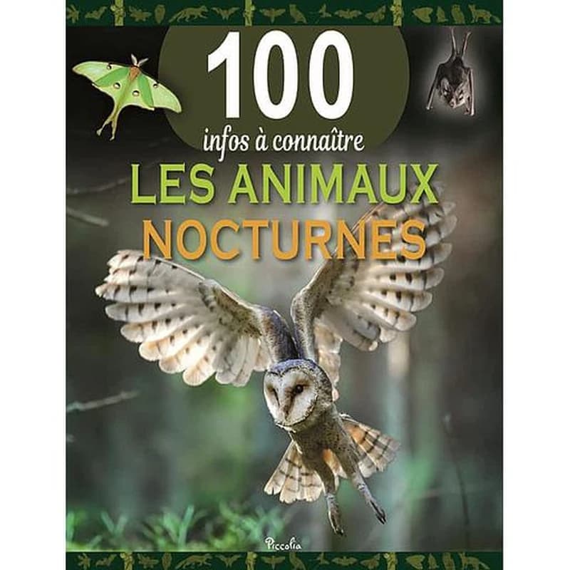 Les animaux nocturnes - 100 infos à connaître