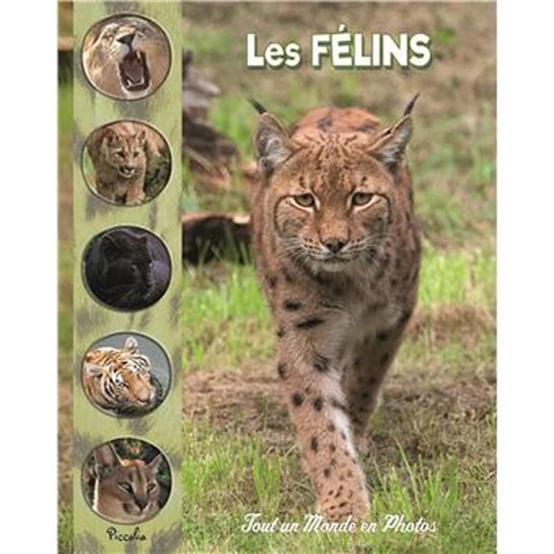 Tout un monde en photos : les félins