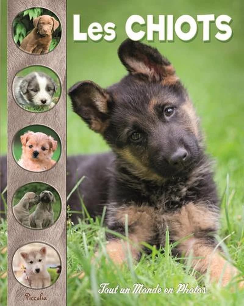 Tout un monde en photos : les chiots