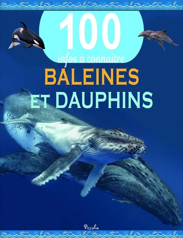 100 infos à connaître : baleines et dauphins