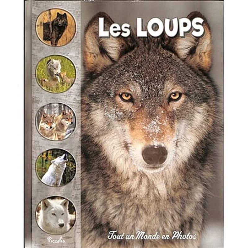 Tout un monde en photos : les loups