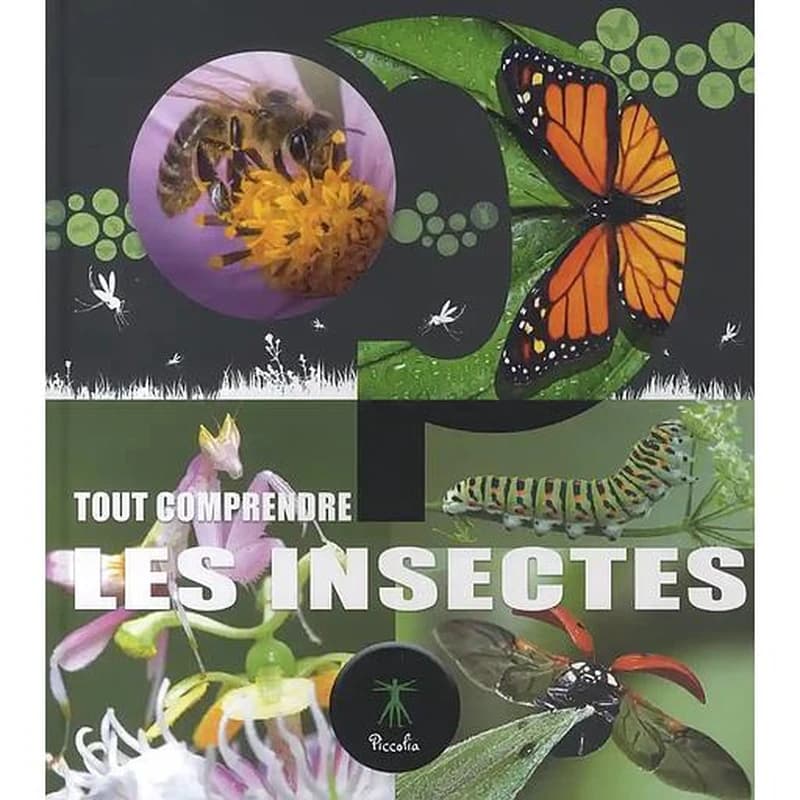 Les insectes