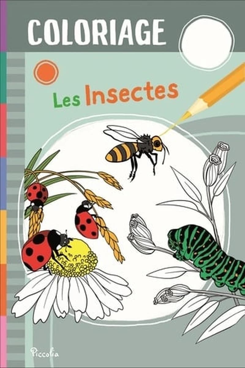 Coloriage : les insectes