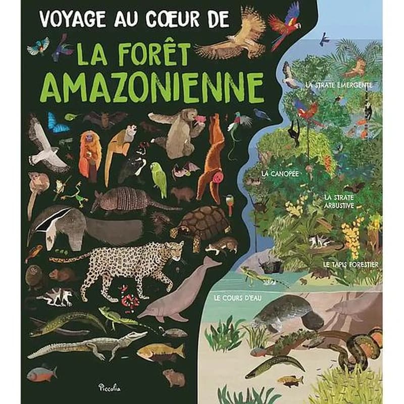 La forêt amazonienne