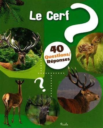 40 questions