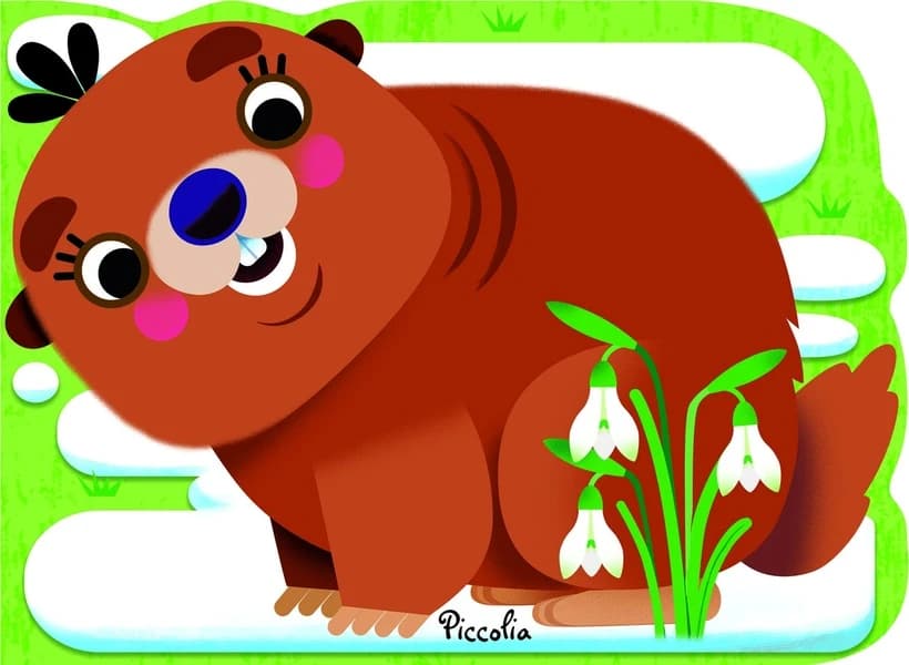 Marmotte