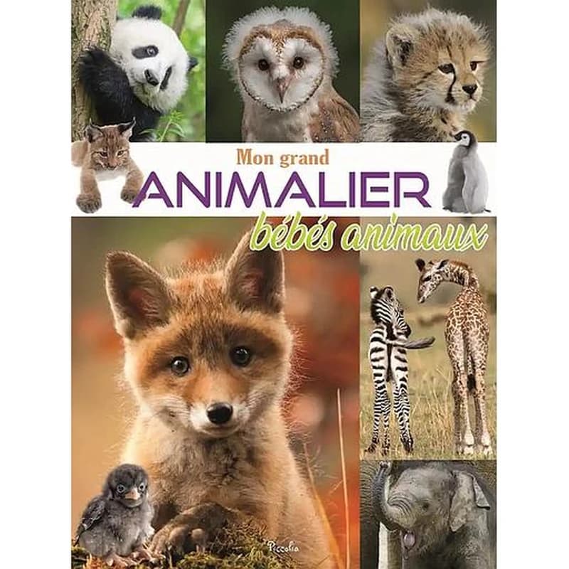 Mon grand animalier : bébés animaux