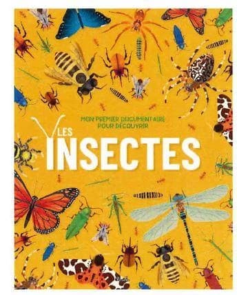 Mon premier documentaire pour découvrir : Les Insectes