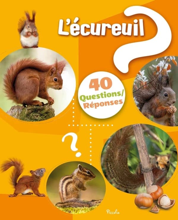 40 questions