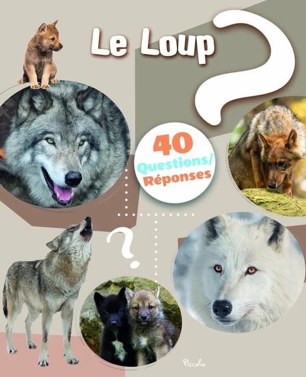 40 questions