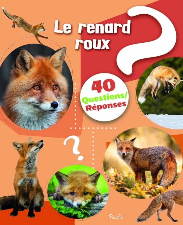 40 questions