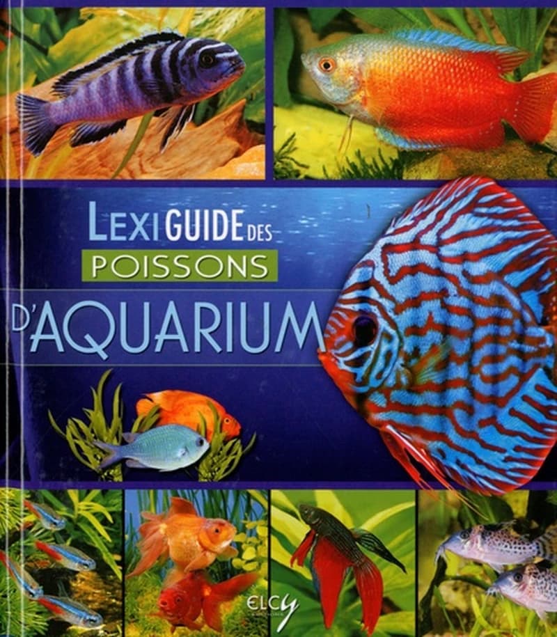 LEXIGUIDE DES POISSONS D'AQUARIUM