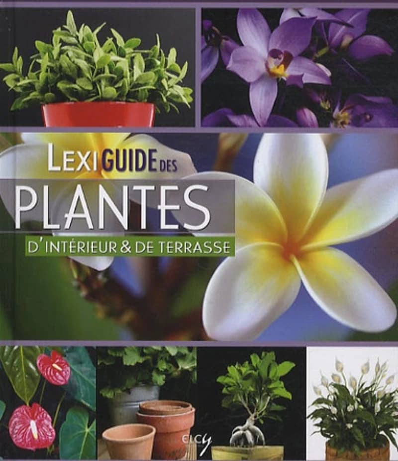 LEXIGUIDE DES PLANTES D'INTERIEUR ET DE TERRASSE