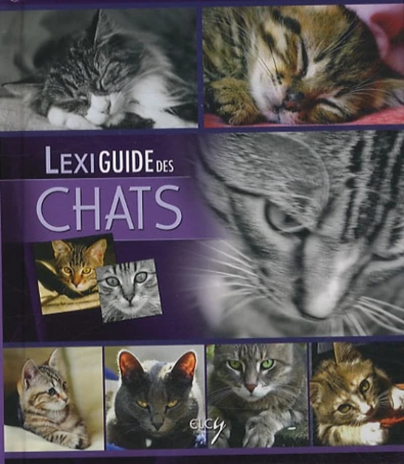 Chats.