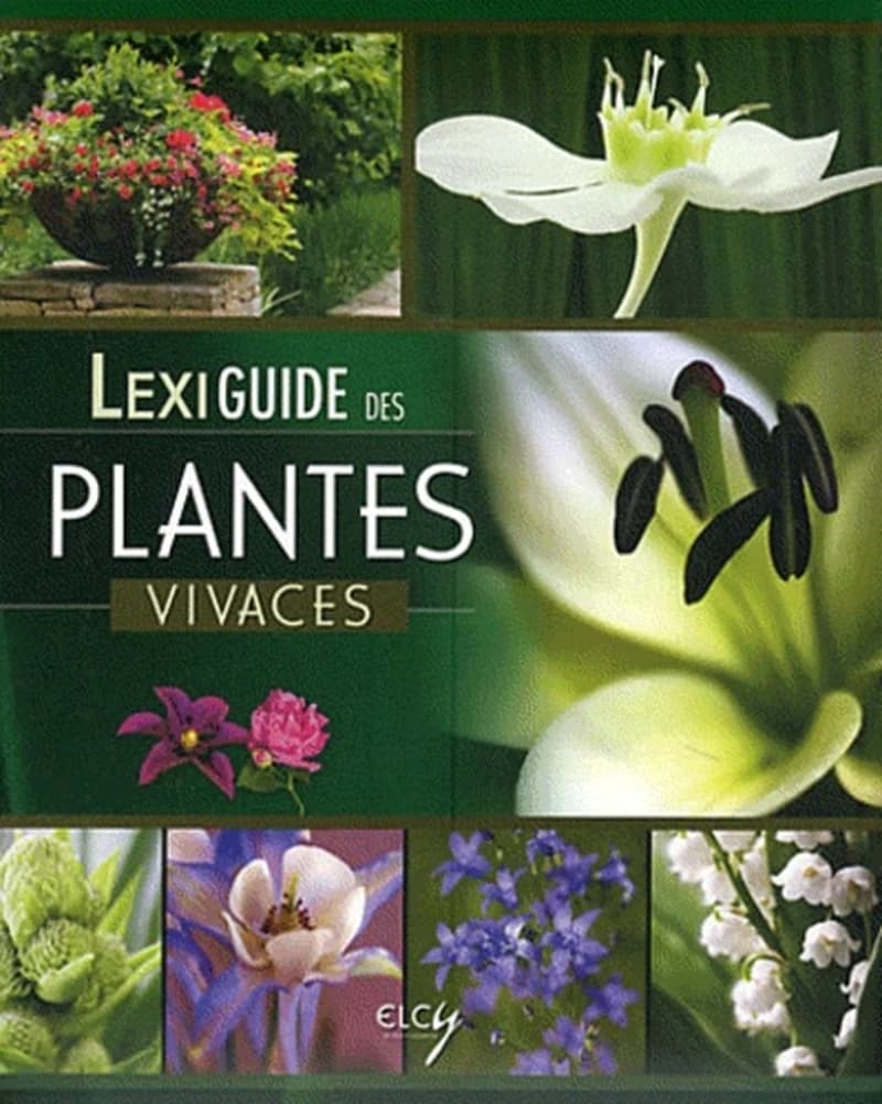 LEXIGUIDE DES PLANTES VIVACES