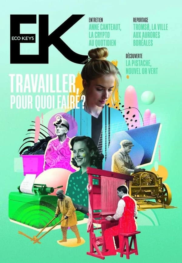 Travailler, pour quoi faire ?