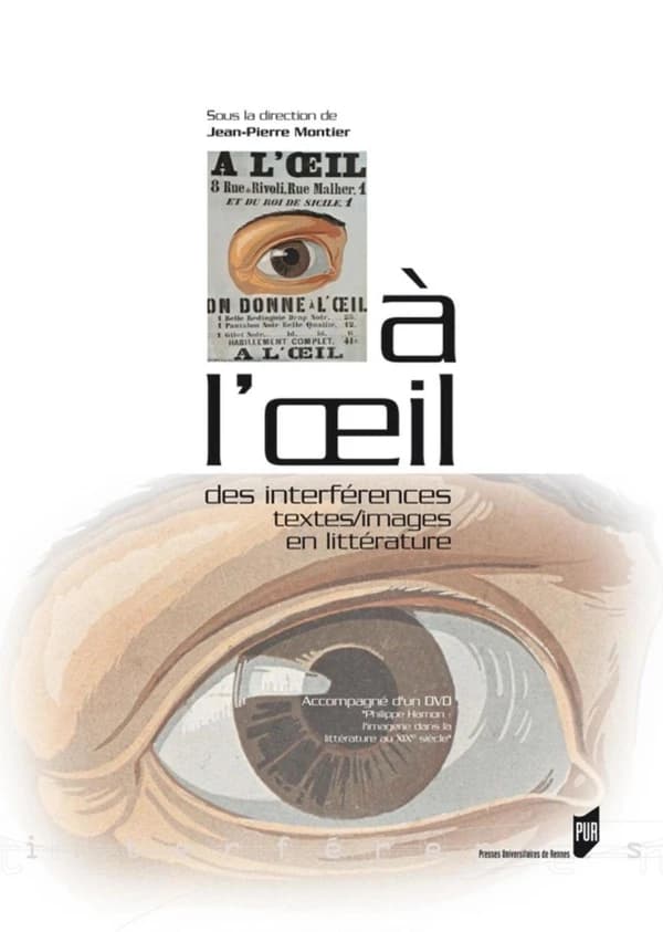 À l'oeil : des interférences textes-images en littérature