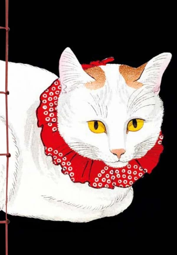 Carnet Hazan gaufré chats