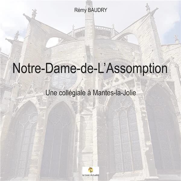 Notre-Dame-de-l'Assomption ; une collégiale à Mantes-la-Jolie