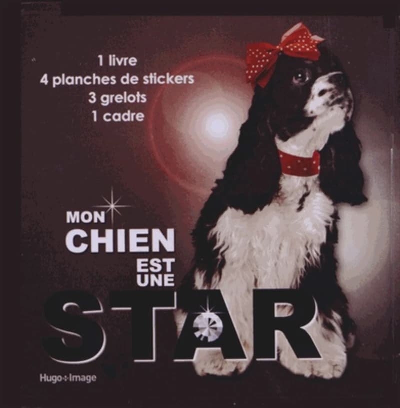 Mon chien est une star