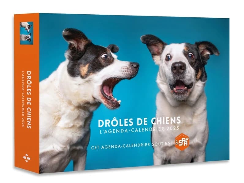 Agenda-calendrier : Drôles de chiens (édition 2025)