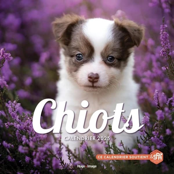 Calendrier mural : Chiots (édition 2025)