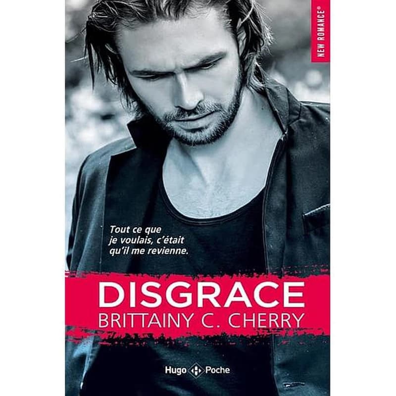 Disgrâce : roman
