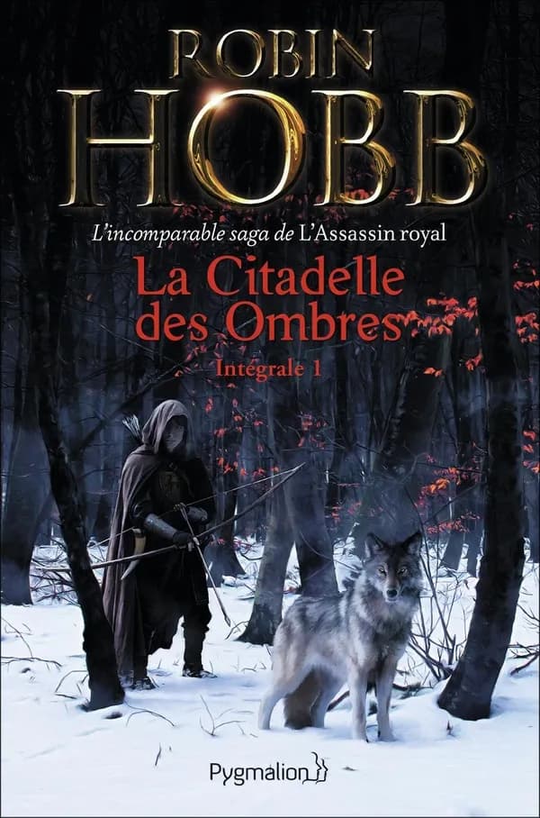 La citadelle des ombres I