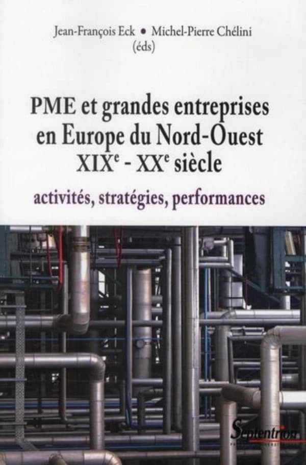 PME et grandes entreprises en Europe du Nord-Ouest, XIXe-XXe siècle : activités, stratégies, performances