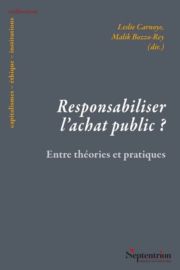Responsabiliser l'achat public ? : entre théories et pratiques