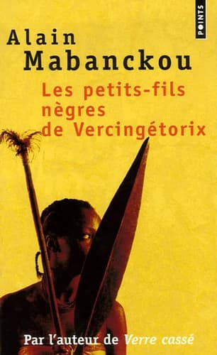 Les petits-fils nègres de Vercingétorix : roman