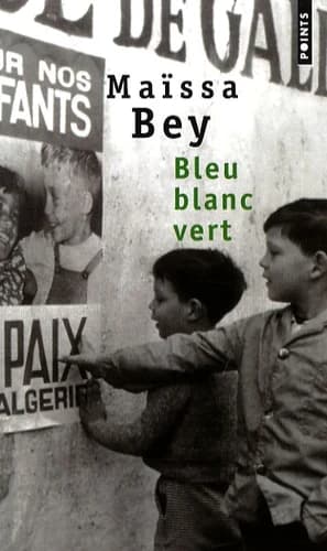 Bleu blanc vert : roman