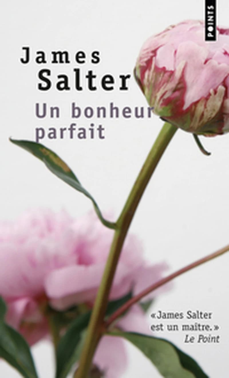 Un bonheur parfait : roman