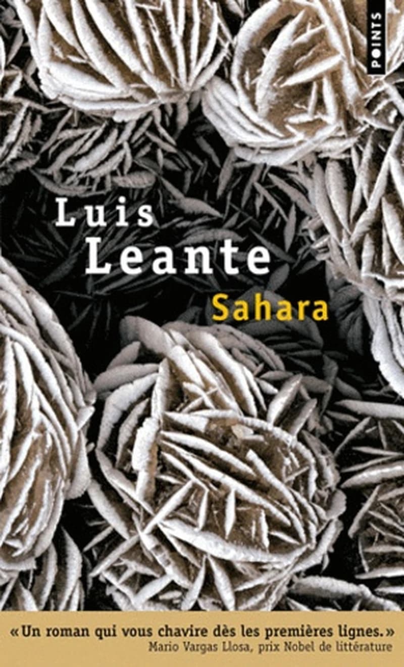 Sahara : roman