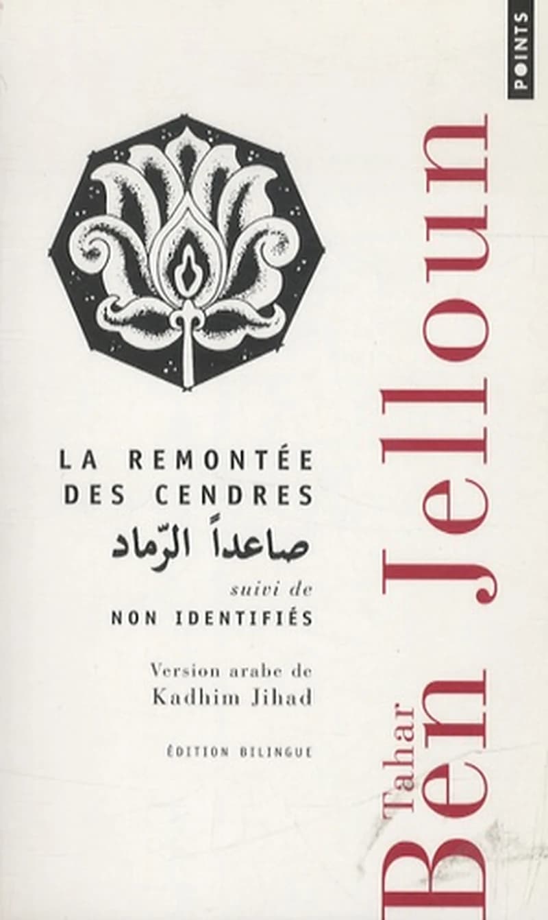 La remontée des cendres - Suivi de Non identifiés