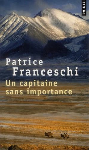Un capitaine sans importance : roman