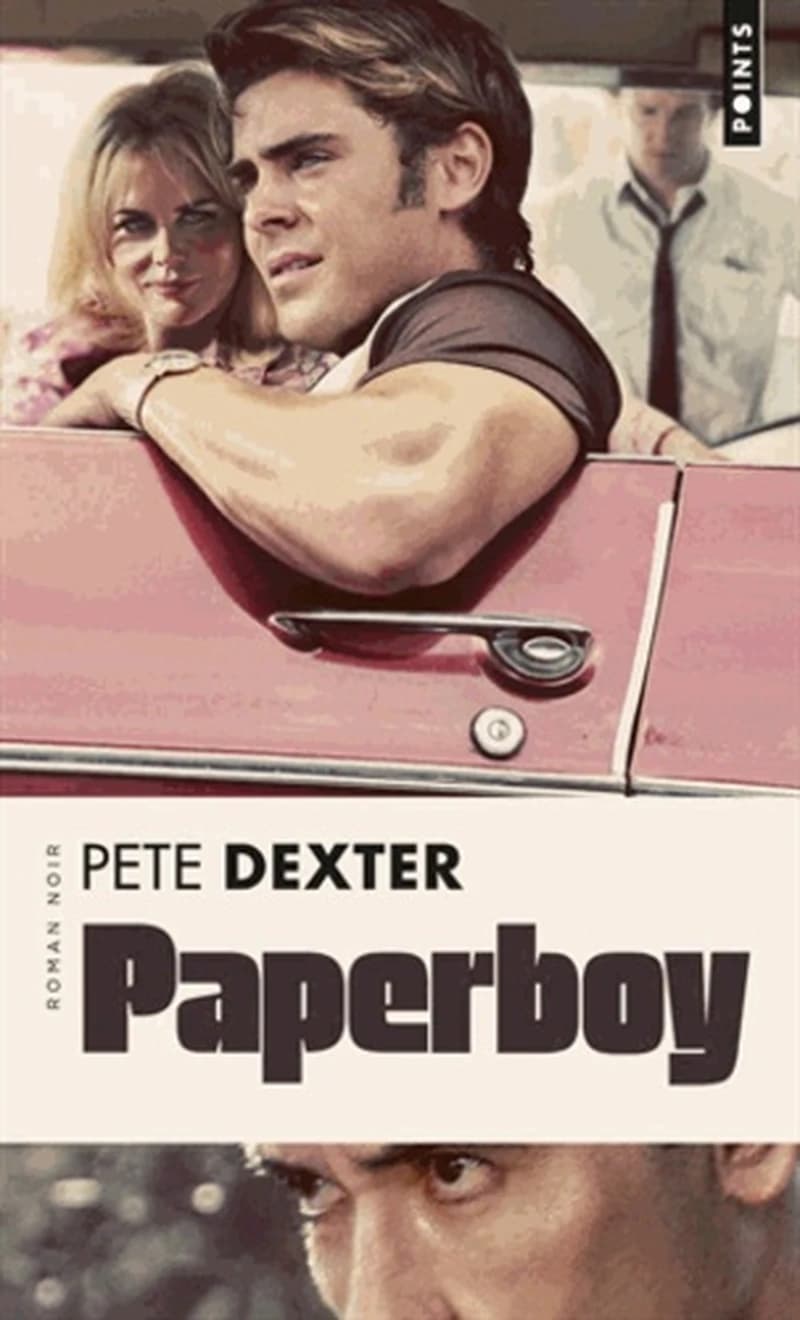 Paperboy : roman