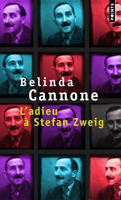 L'adieu à Stefan Zweig : roman