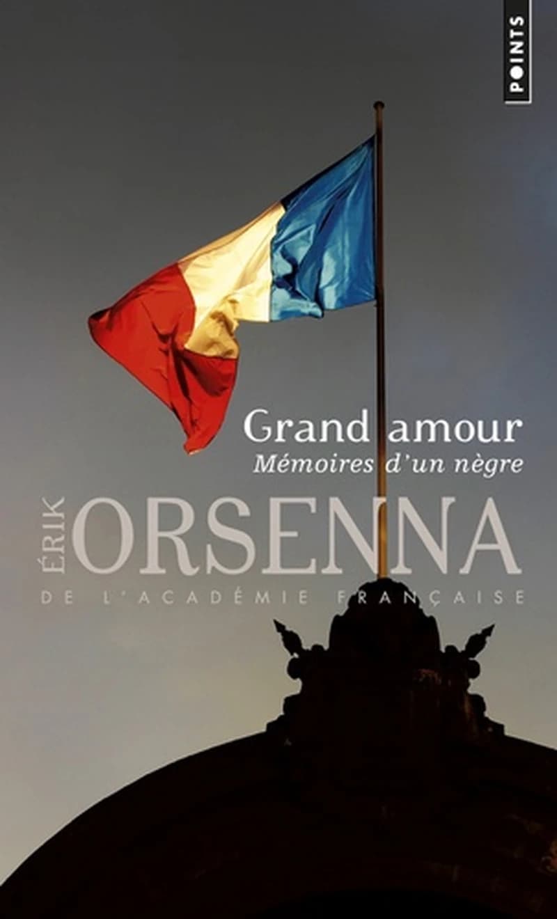 Grand amour : mémoires d'un nègre : roman