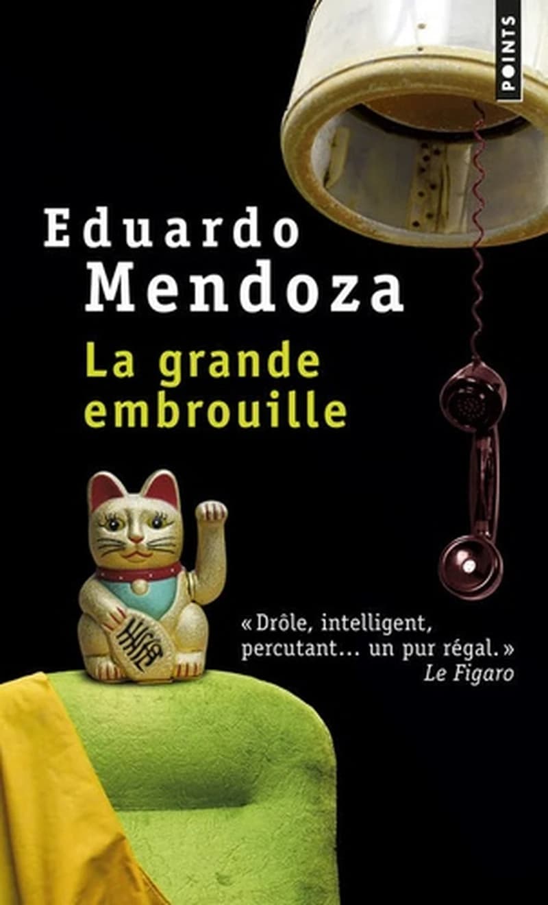 La grande embrouille : roman