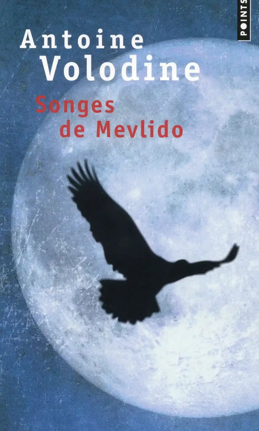 Songes de Mevlido : roman