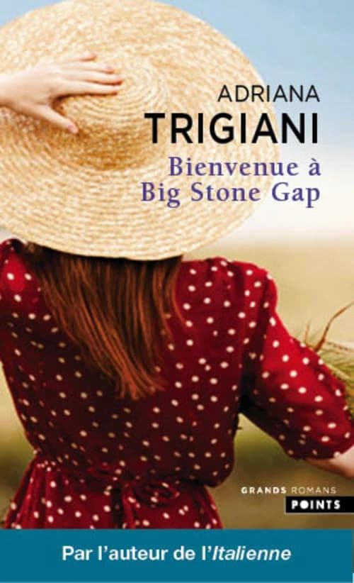 Bienvenue à Big Stone Gap : roman