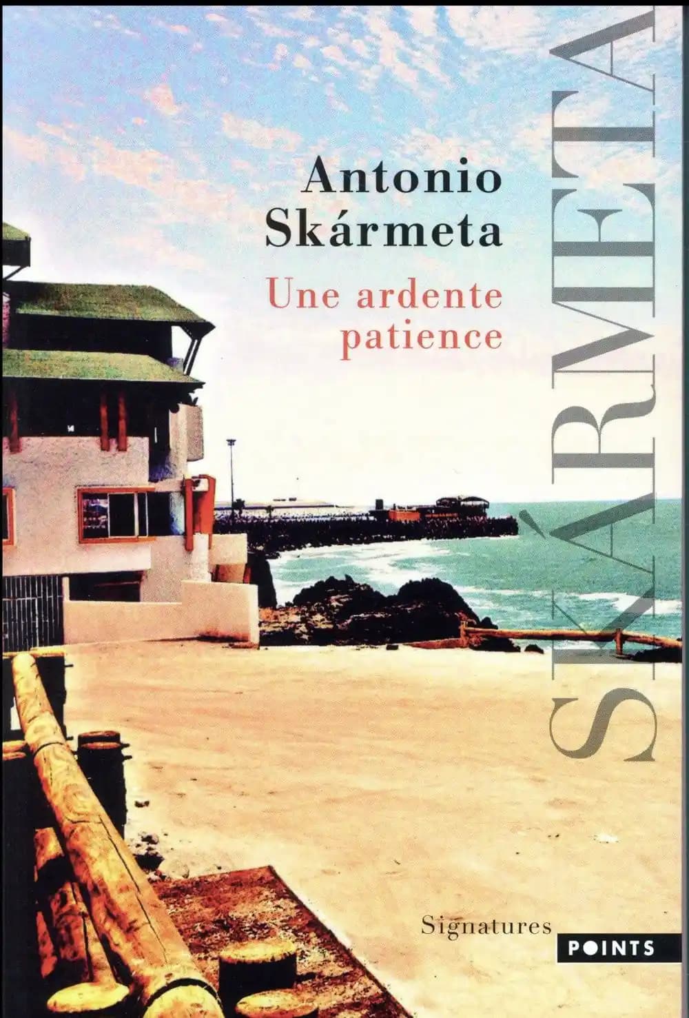 Une ardente patience : roman