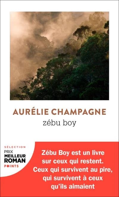 Zébu boy : roman