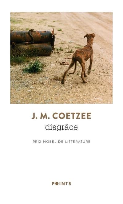 Disgrâce : roman