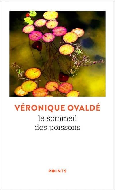 Le sommeil des poissons : roman