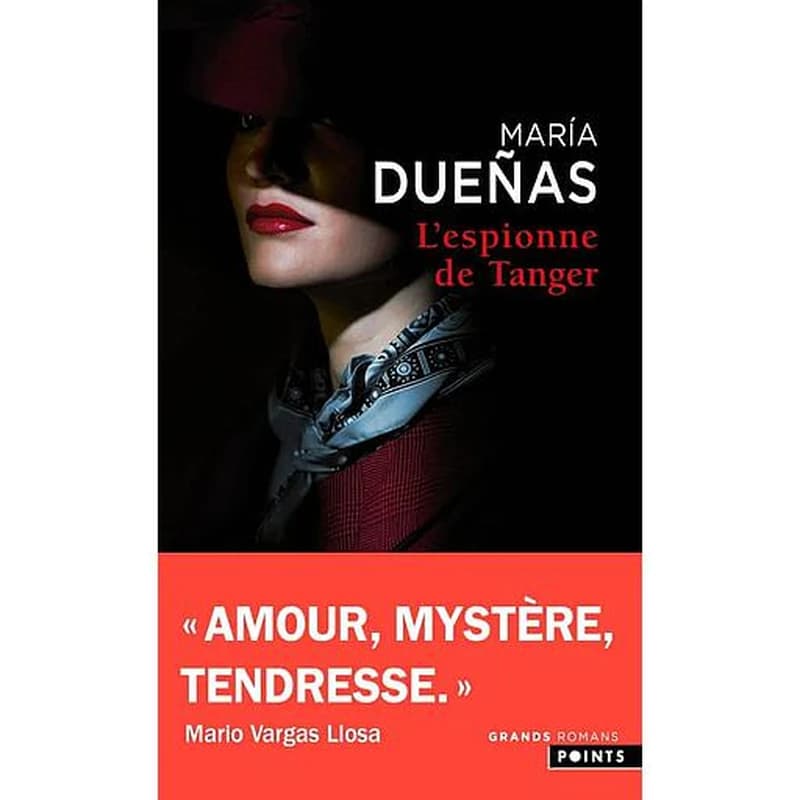 L'espionne de Tanger : roman