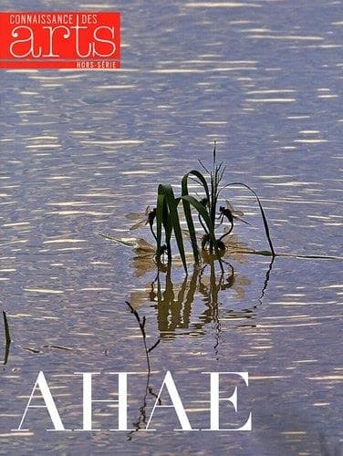 Connaissance des arts Hors-Série n.540 : Ahae